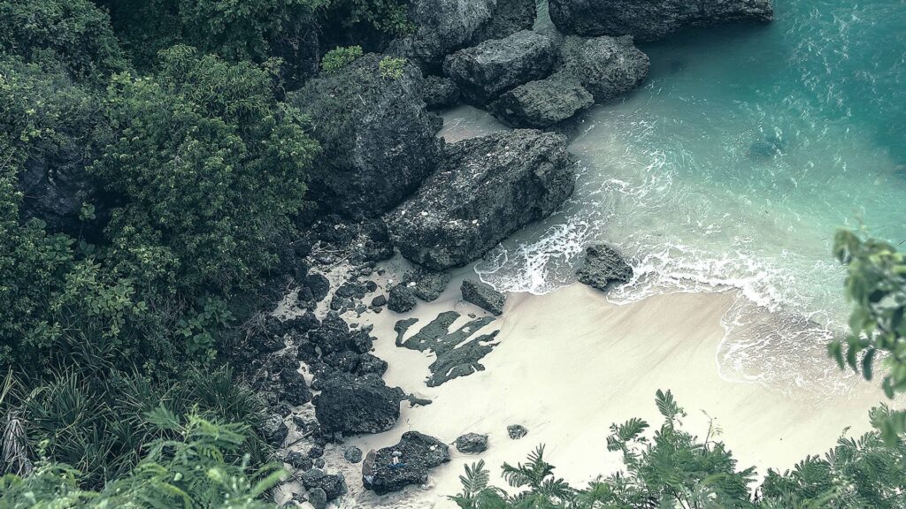 bg 09 free img